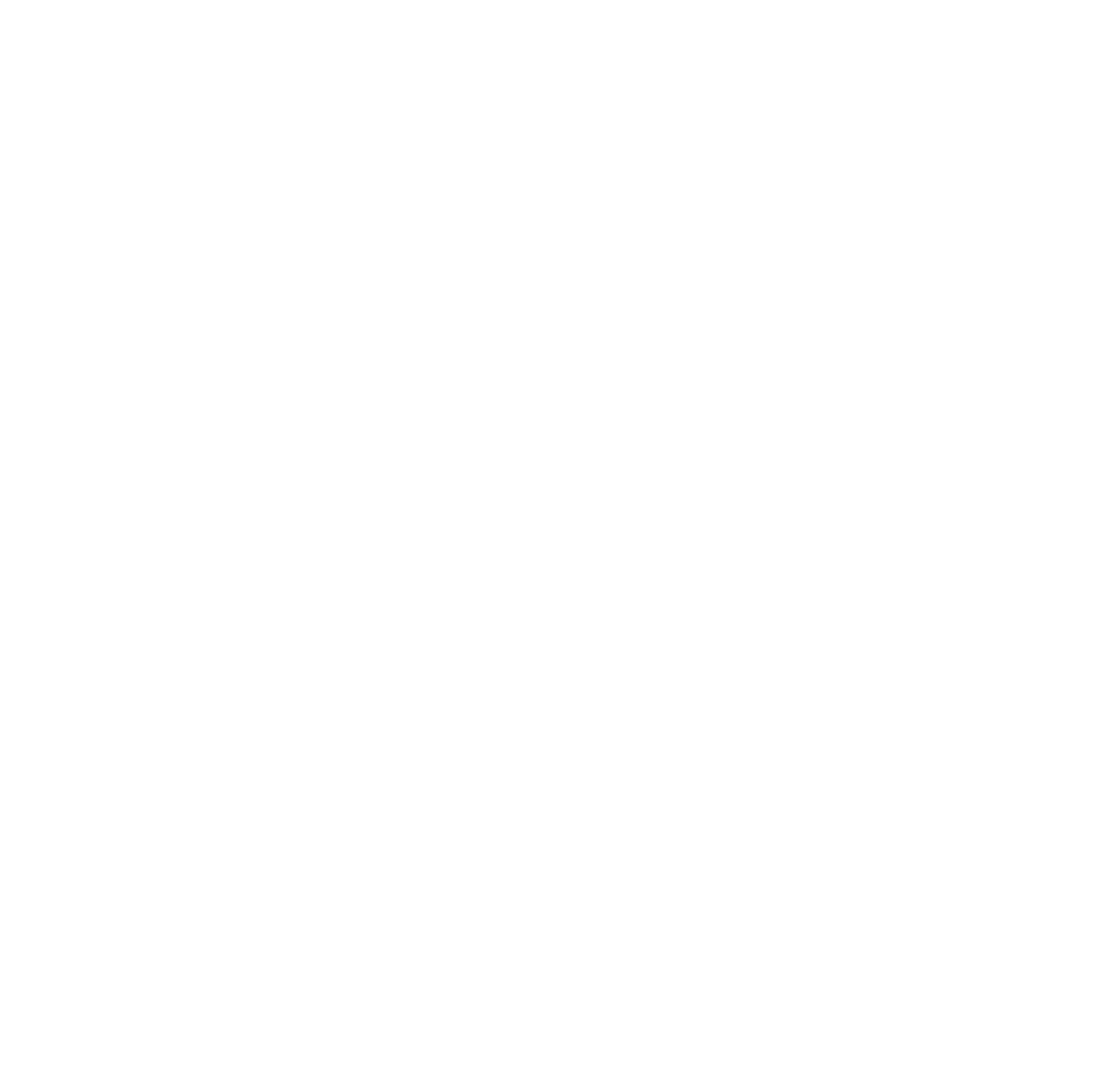 NZ Logo